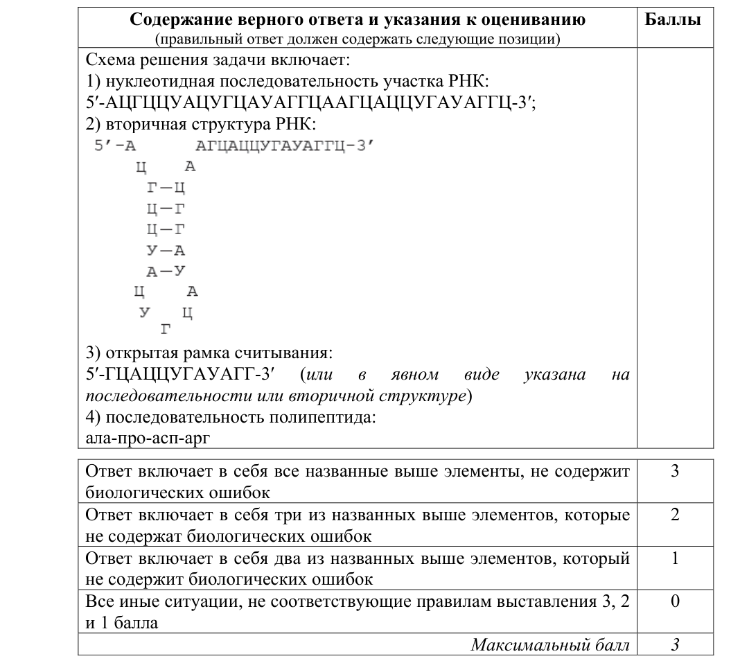 Решение задания ЕГЭ 27_2