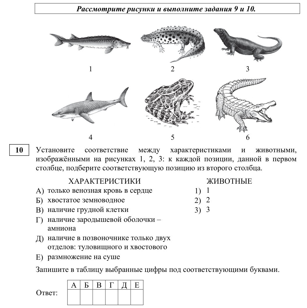 Задание ЕГЭ 10_1