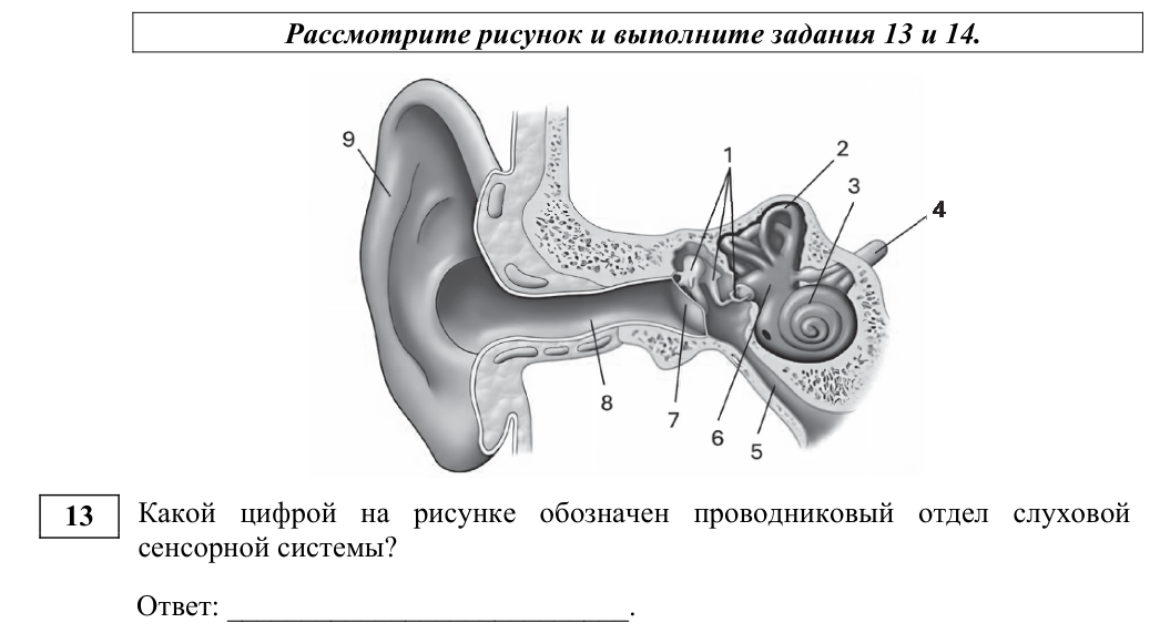Задание ЕГЭ 13_1