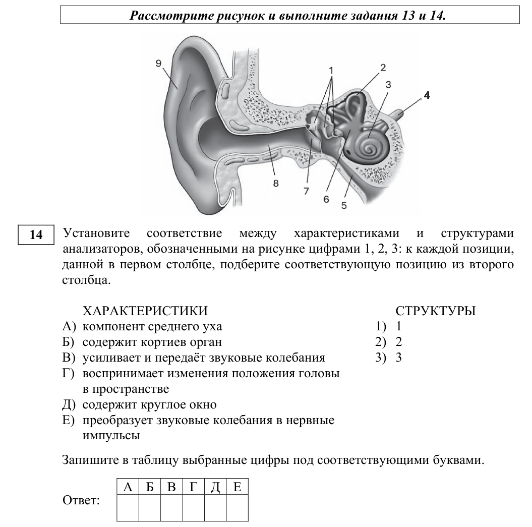 Задание ЕГЭ 14_1