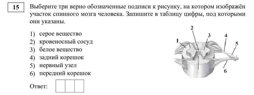 Задание ЕГЭ 15_1