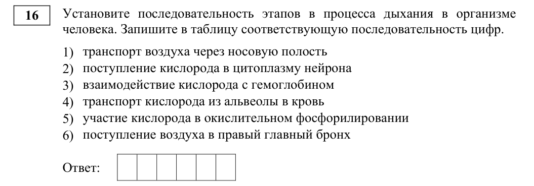 Задание ЕГЭ 16_1