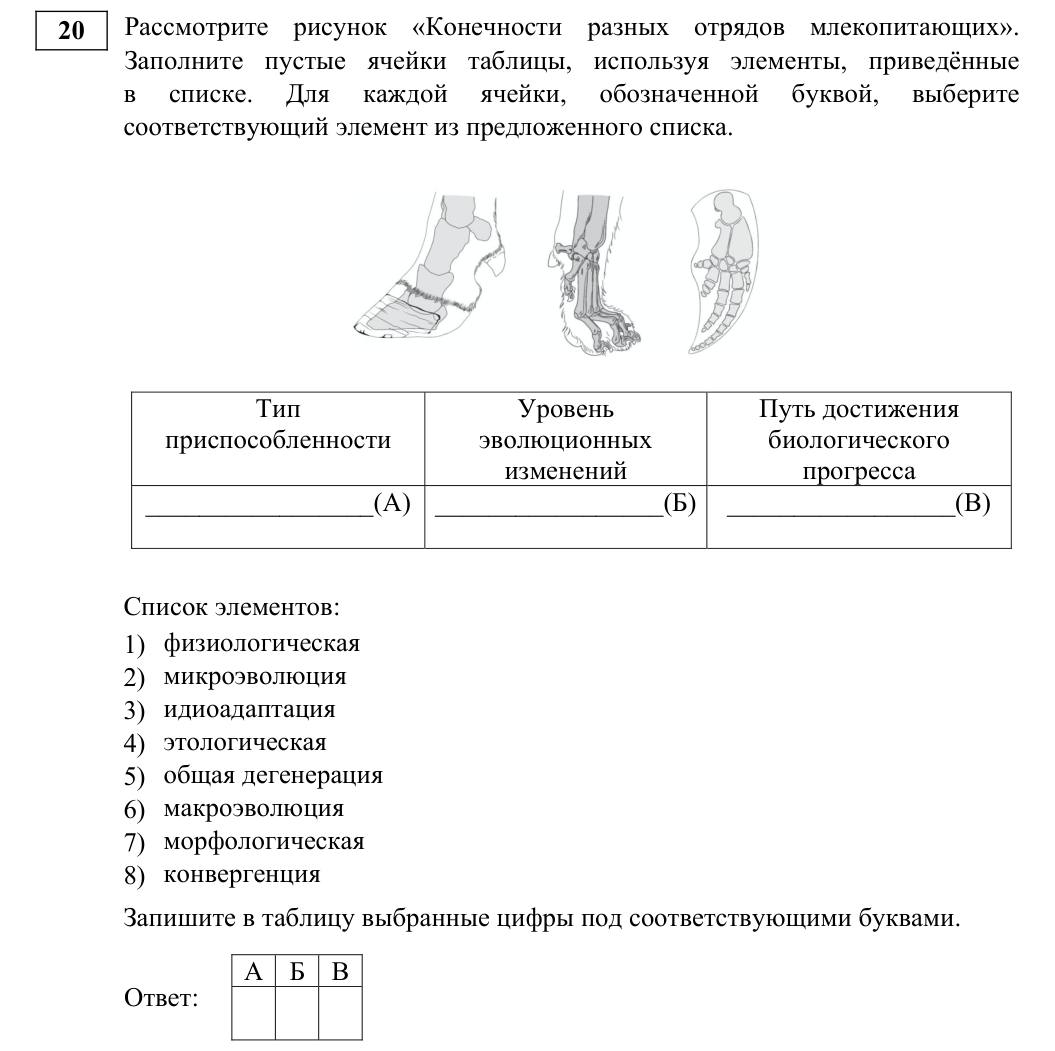 Задание ЕГЭ 20_1