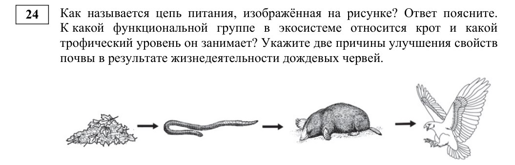 Задание ЕГЭ 24_1
