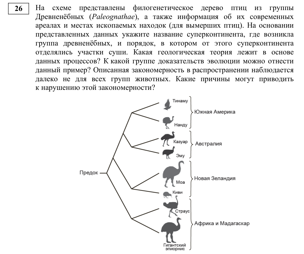 Задание ЕГЭ 26_1