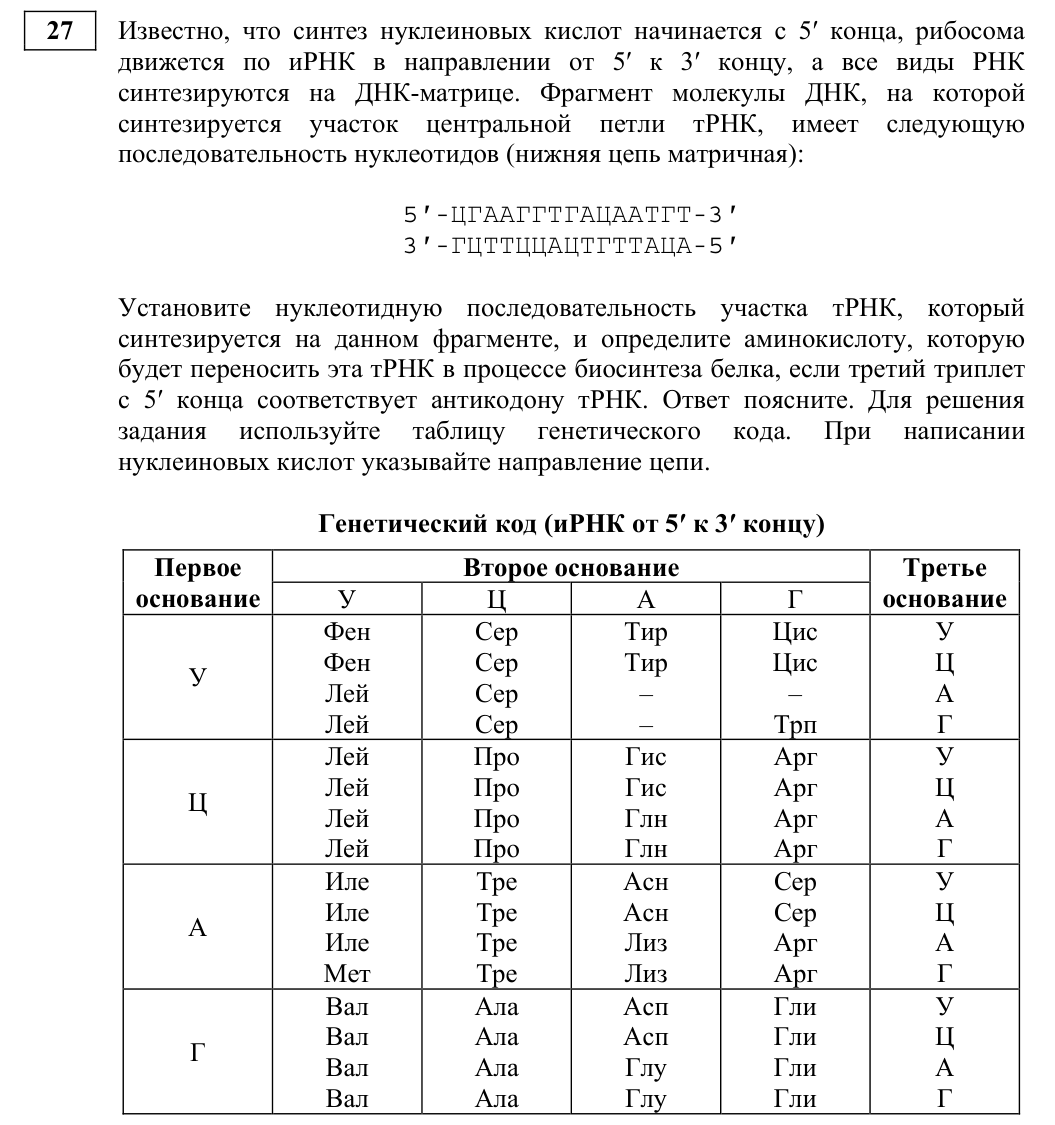 Задание ЕГЭ 27_1