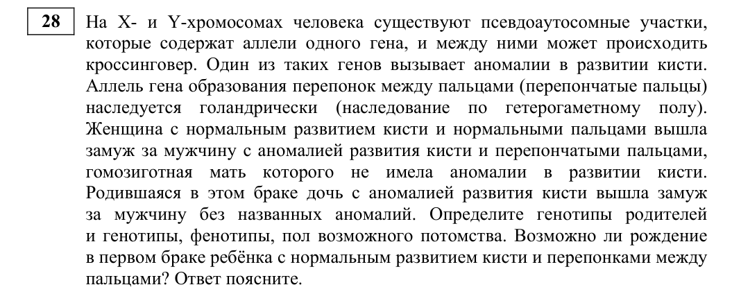 Задание ЕГЭ 28_1
