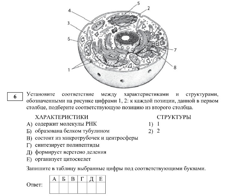 Задание ЕГЭ 6_1